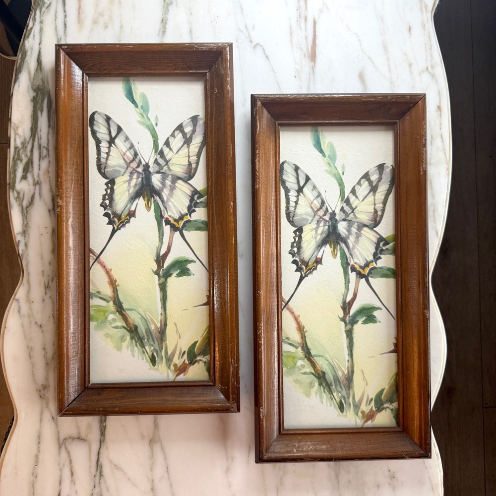 Vintage 70s Butterfly Prints Set of 2 Nature Wall Art Cottagecore Botanical